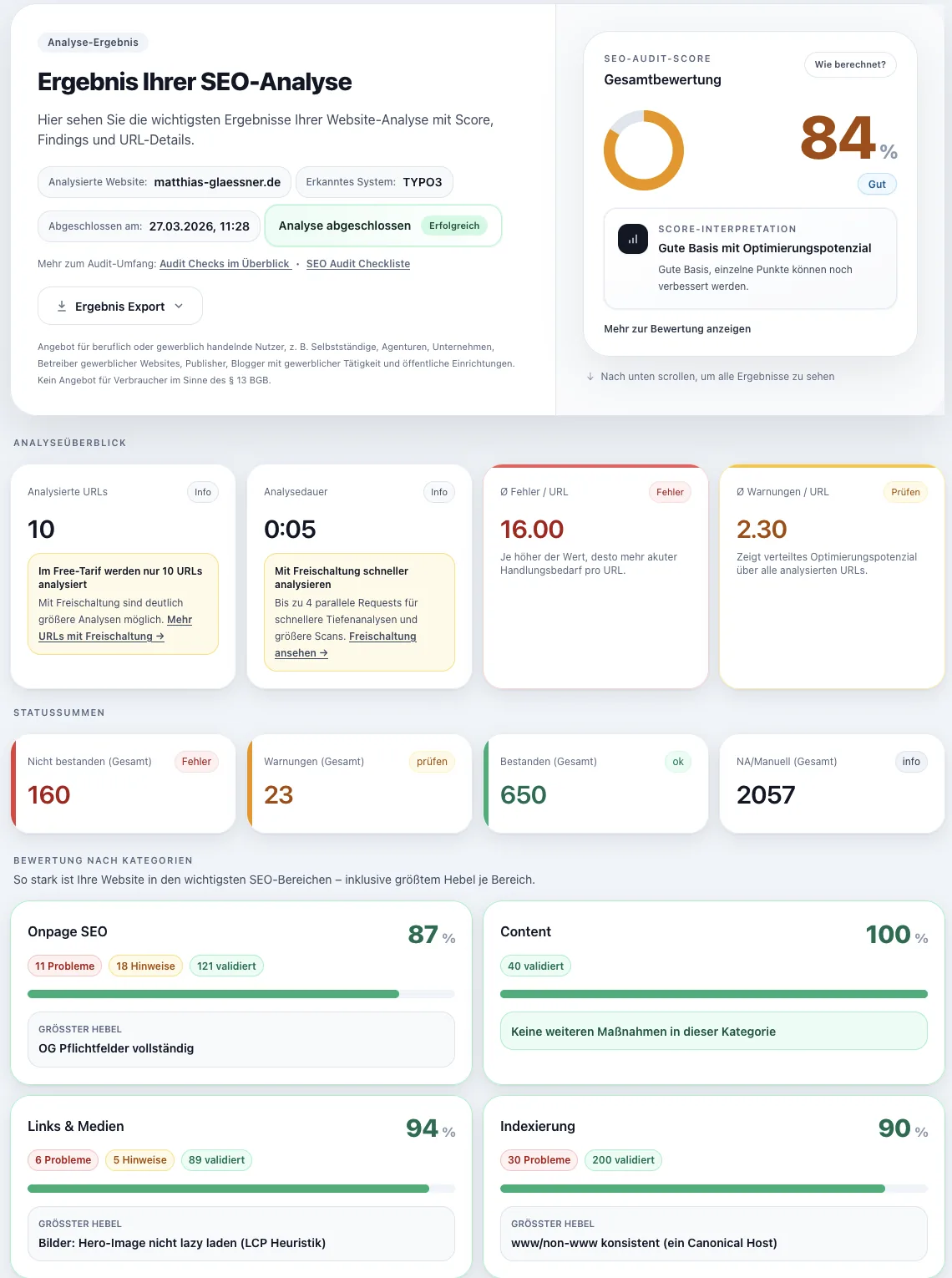 Website-Audit Oberfläche