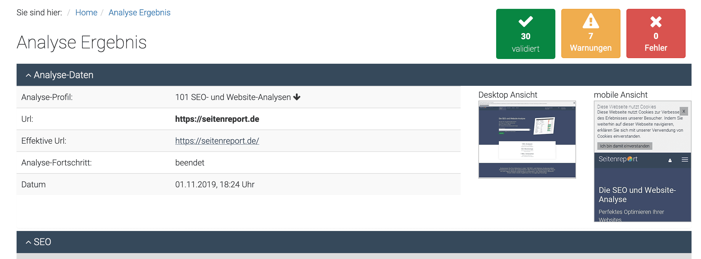 Seitenreport Analyse Ergebnis